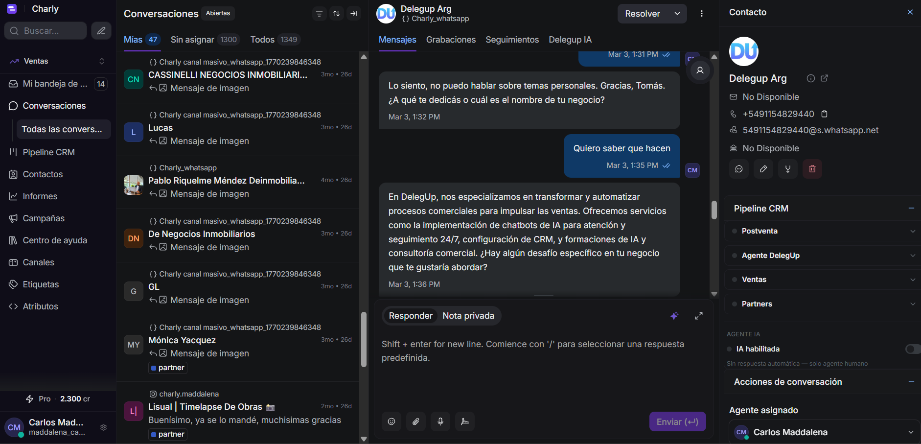 Agente IA respondiendo — BESEL